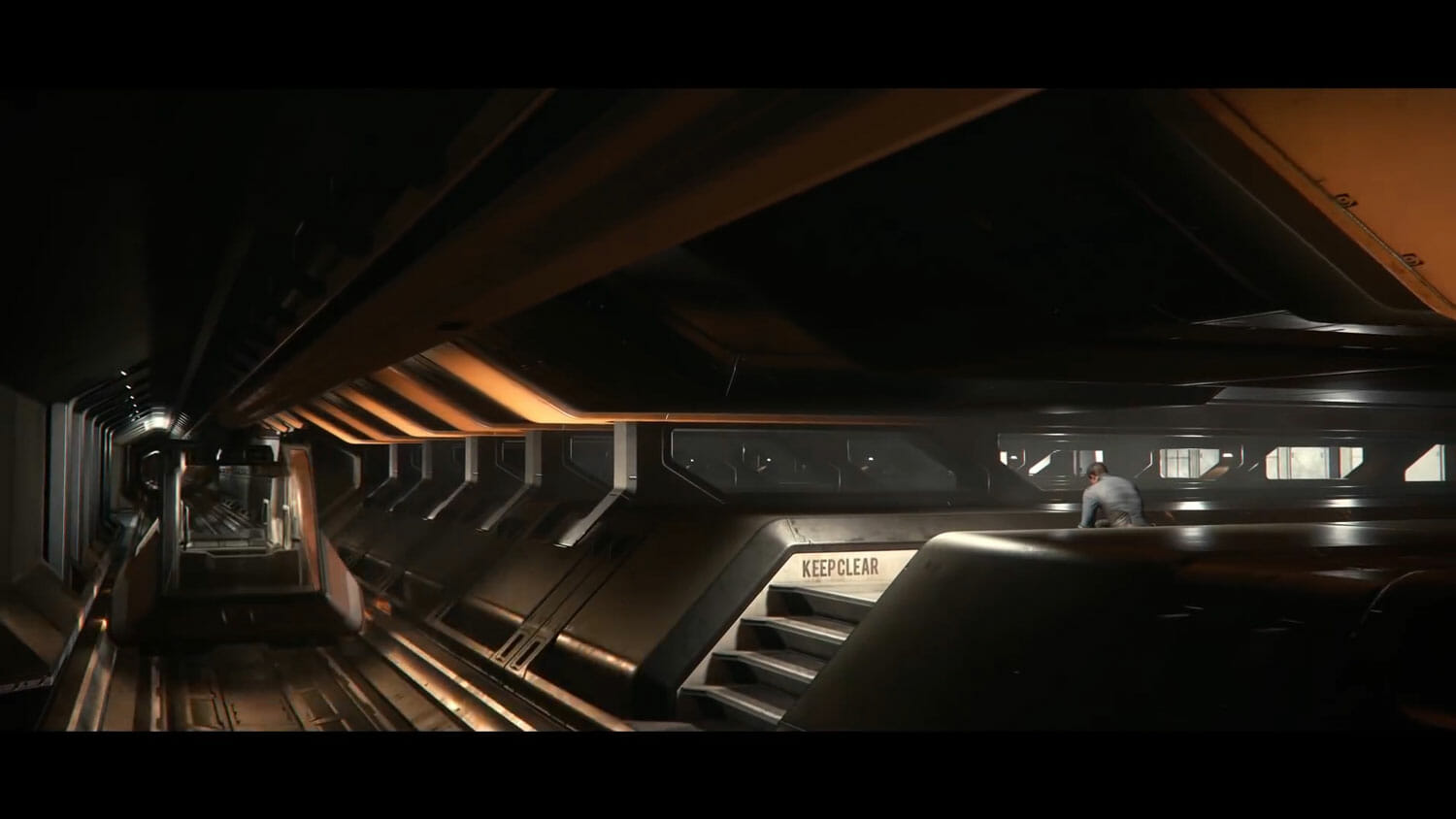 Intelligenza_Volo - bengal_1.jpg