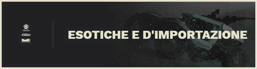 Vendita_Anniversario_2948 - Esotiche.jpg